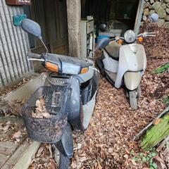 HONDA　トゥデイ　YAMAHA　ミント