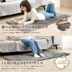 新品、未使用  ホットカーペットの画像
