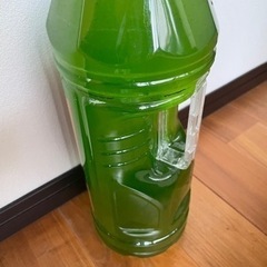 メダカ専用 失敗しないグリーンウォーター(1L)の画像