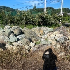 お庭の石無料です。配達設置庭づくりも可能です。見積無料の画像