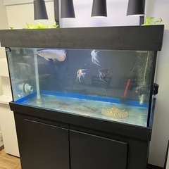 水槽　120cm 水槽台