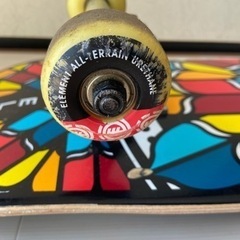 ELEMENT エレメント スケートボード
