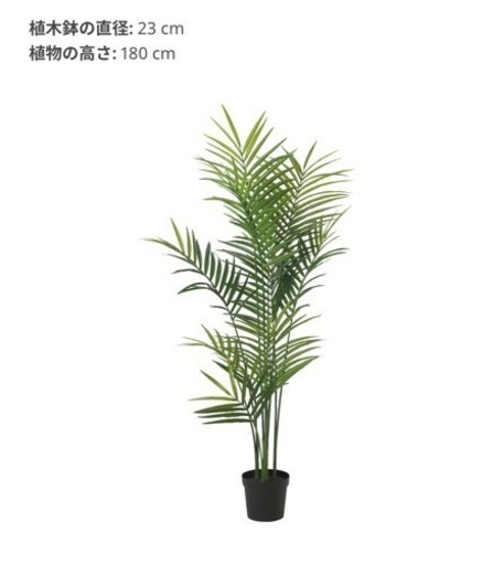 IKEA／FEJKA フェイカ　人工観葉植物, 室内/屋外用 ケンチャヤシ FEJKA フェイカ 人工観葉植物, 室内/屋外用/つり下げ型, 9 cm - IKEA