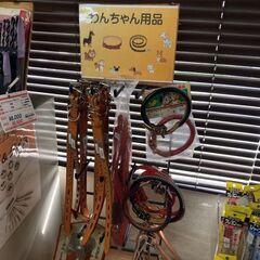 ワンちゃん用　首輪　ペット　犬　猫