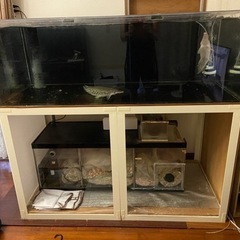 オーバーフロー水槽 150-75-高50