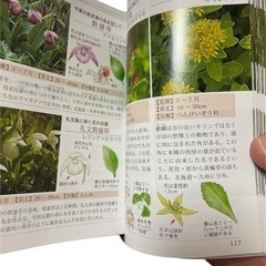 野と里・山と海辺の花 本の画像