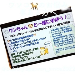 ドッグトレーナーさんとのプチしつけ教室開催！
