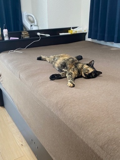 跳ね上げ式セミダブルベッドフレーム