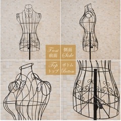 ワイヤートルソー　高さ調節可能　マネキンの画像