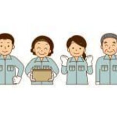 キレイなトマトハウス農園での収穫等農作業