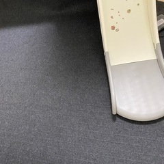 決まりました　空気をキレイにするホットカーペット