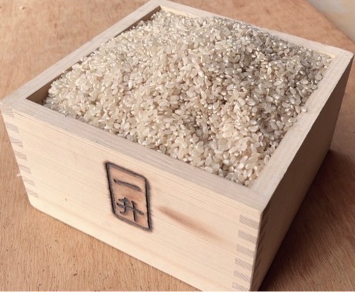 令和5年度産コシヒカリ玄米30キロ