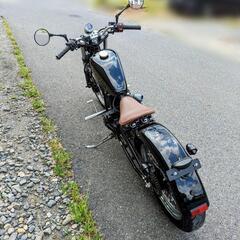 購入者決定いたしました。希少❗️クリーブランド　ヘイスト250 リジットフレームの画像