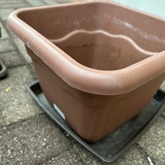 プランター