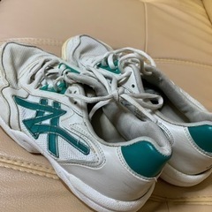 お話し中　大垣工業高校上履き　　24.5cm  古いものです。