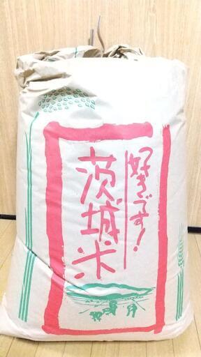 令和4年 玄米 30kg