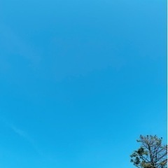 新メンバーさん急募☺️