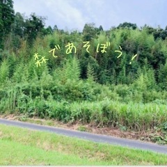 蘭募集！香川県三豊市に植物と遊ぶ『たわむれの森』を想像しました〜。