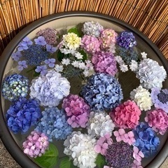 女性メンバー募集します。