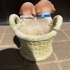 ガーデニング用鉢 犬の画像