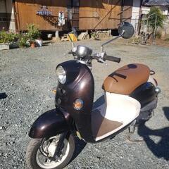 ビーノ ヤマハ バイクの中古が安い！激安で譲ります・無料であげます(64ページ目)｜ジモティー