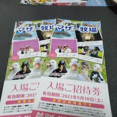 マザー牧場無料チケット