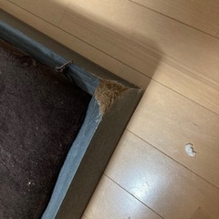 クイーンベット(ローベット)の画像