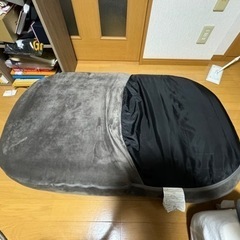 ペット座れる座椅子の画像
