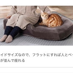 ペット座れる座椅子の画像