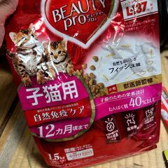 子猫用フードその他