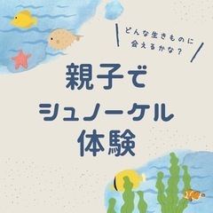 出来る事が増えると何倍も楽しくなるシュノーケリング🤿正しい泳ぎ方、機材の仕組み、慣れたらスキンダイビング😄の画像