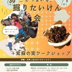 【無農薬栽培さつまいも🍠掘りたいけん会】 ＋紫蘇の実ワークショップ