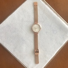 新品未使用　SKAGEN スカーゲン　SKW 2151の画像