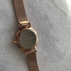新品未使用　SKAGEN スカーゲン　SKW 2151の画像