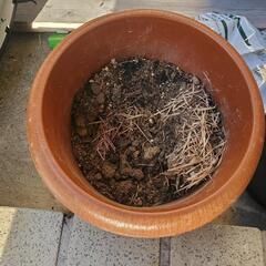 植木鉢 3つ セットの画像