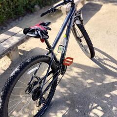 サイクリングしませんか？（笑）