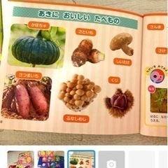 キンダーブック　チャイルドブック　がくしゅうひかりのくに　幼稚園　絵本　8冊の画像
