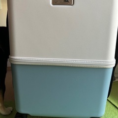 ペット petico ペチコ ペットキャリー 交通機関OK