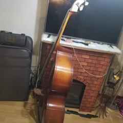 コントラバスの画像