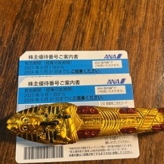 ANA株主優待2024年5月31日まで有効