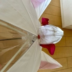 ディズニー　マリー傘の画像