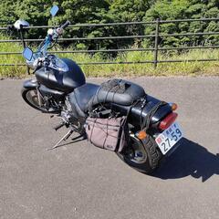 エリミネーター250v