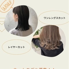 カットモデル募集！