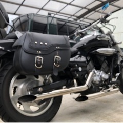 エリミネーター250vの画像