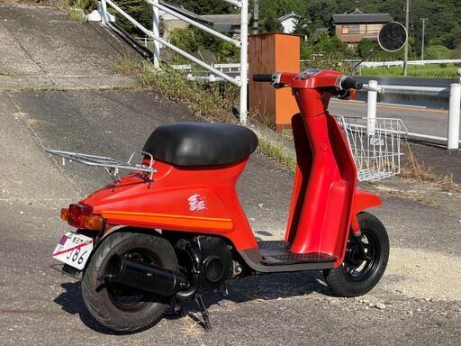 豊田市　SUZUKI 薔薇　バラ　ばら　KE23090601