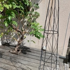 【終了御礼】アイアン　トピアリー