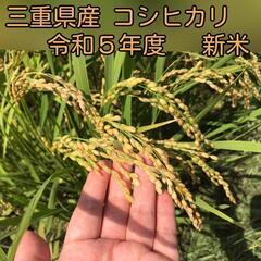 【完売のため受付終了】今年度分は９月頃販売予定です。