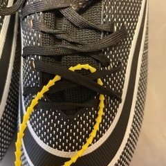 スパイク新品25.0cmの画像