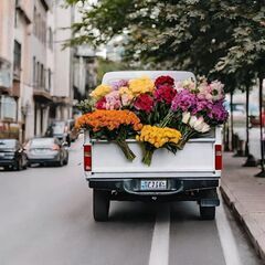 軽トラっ特！たまにわ花屋が赤塚一番通り商店街で秋の花を安く販売↓￥2023年10月17日火曜日	 - 板橋区