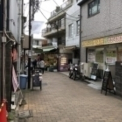 軽トラっ特！たまにわ花屋が赤塚一番通り商店街で秋の花を安く販売↓￥2023年10月17日火曜日	 - イベント